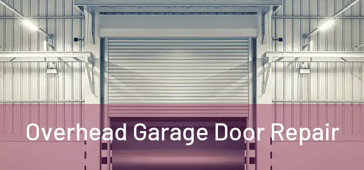  Overhead Garage Door Repair 